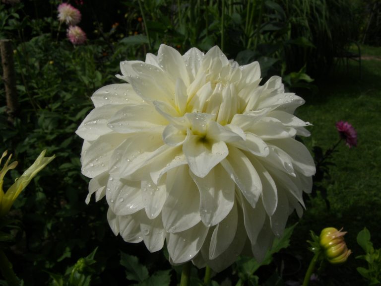 22_UNDINE.jpg
