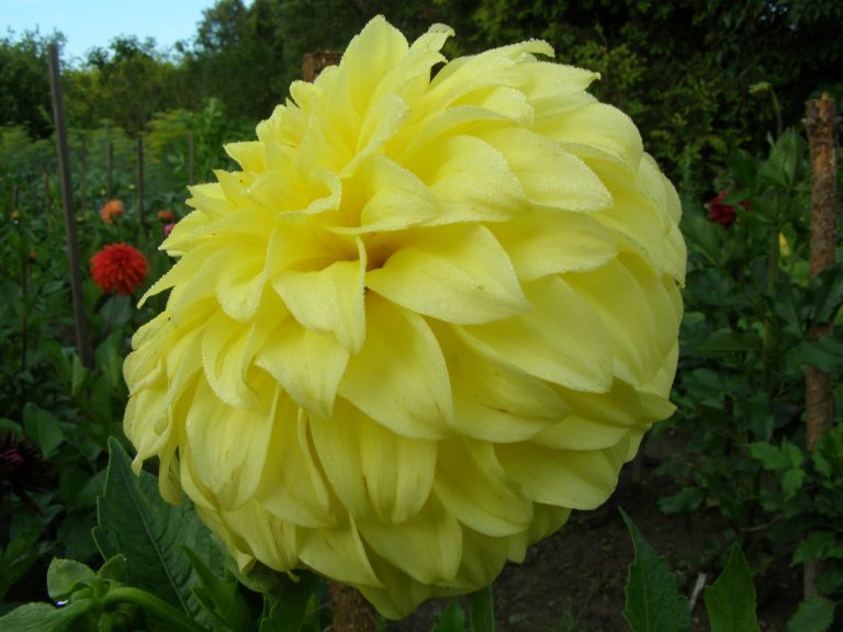 3_BLOOMQUIST_BARBARA_1.jpg