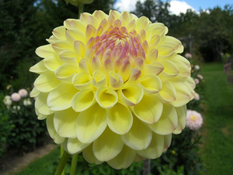 448_FERNCLIFF_BLISS_2.jpg