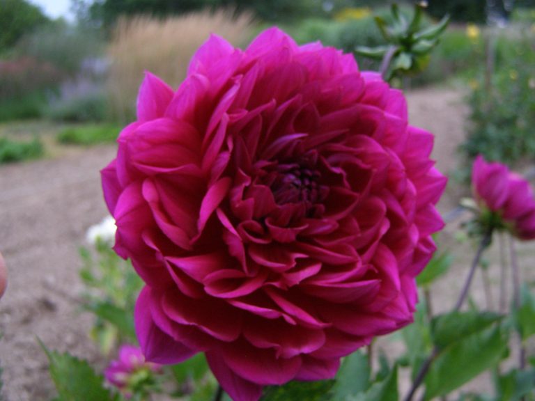 53_SANDIA_NOCTURNE_1.jpg